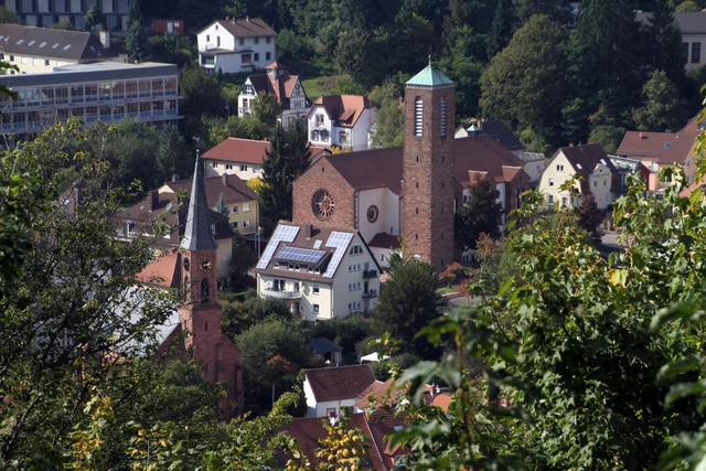 Blick über die Dächer von Landstuhl und die bewaldeten Hügel im Landkreis Kaiserslautern