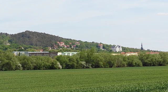 Häuser und bewaldete Hänge von Bad Frankenhausen im Kyffhäuserkreis, von Westen gesehen